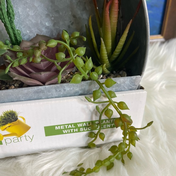 Metal Wall Planter with succulent - Picture 3 of 5